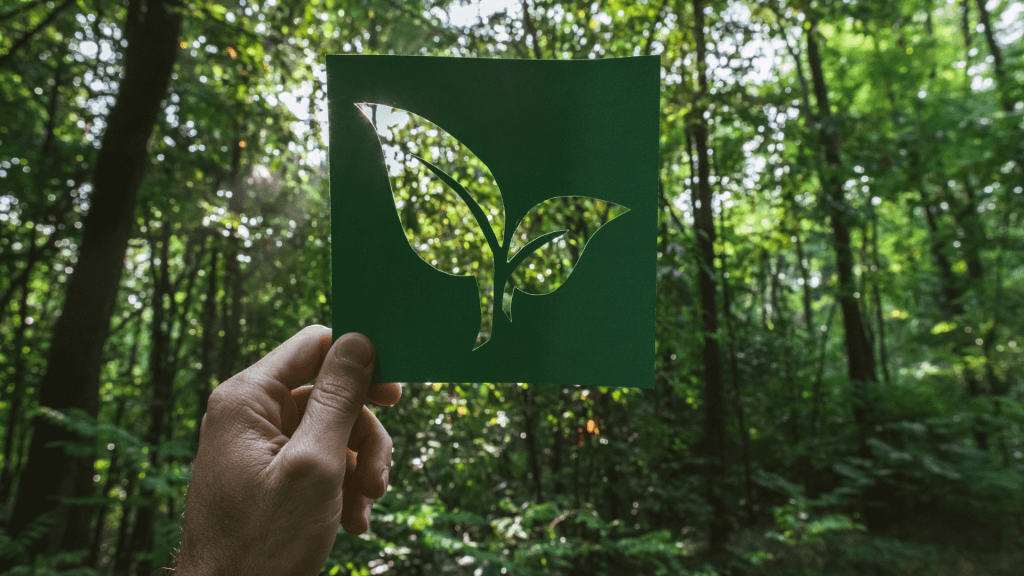 REDinc: Eco-Friendly Packaging Leading the Green Revolution