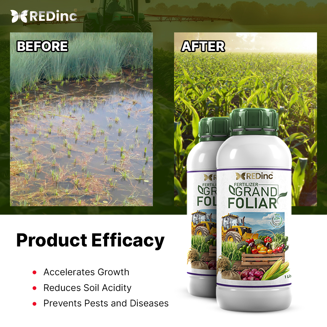 Grand Foliar gallery