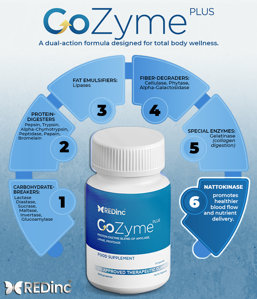 GoZYME gallery
