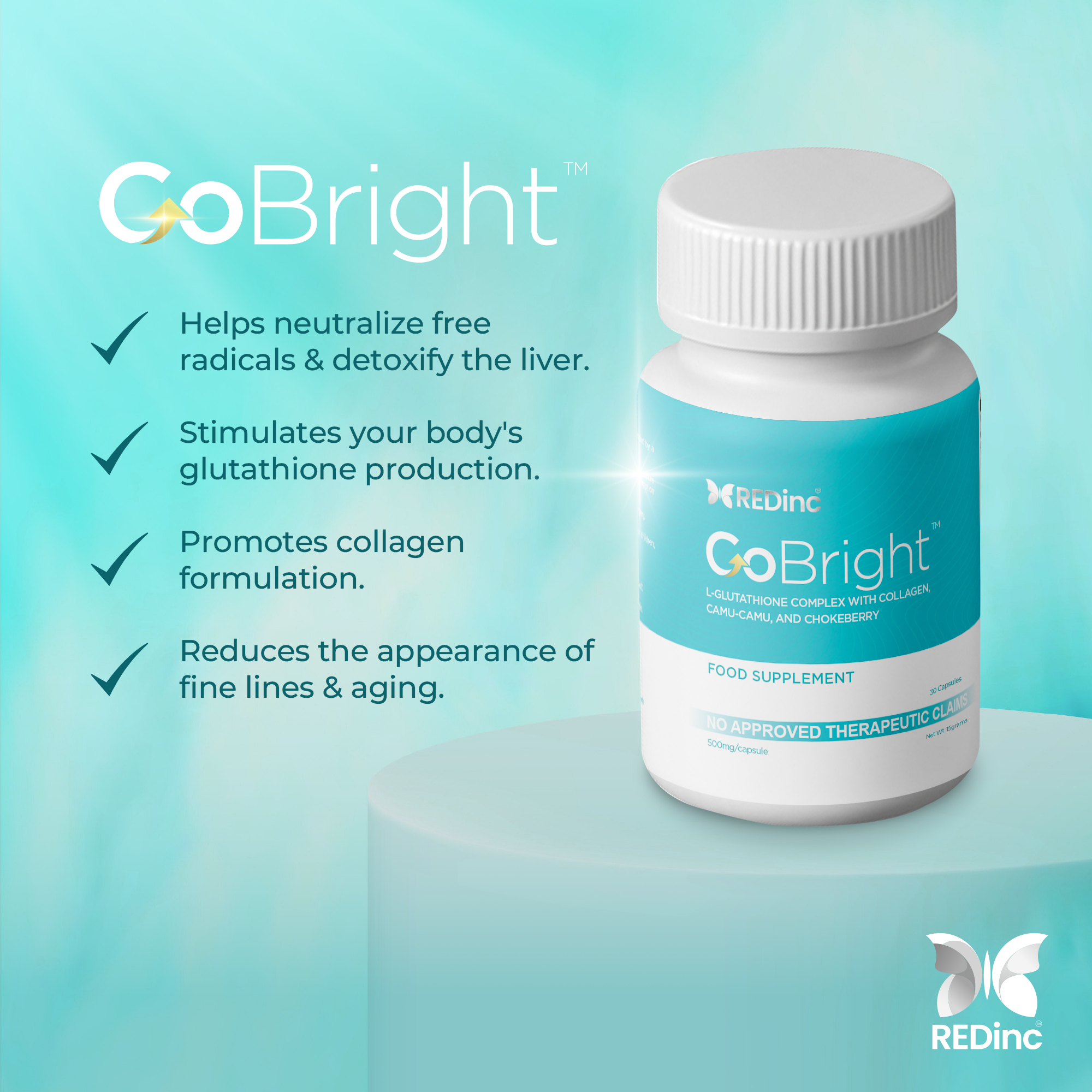 GoBRIGHT gallery