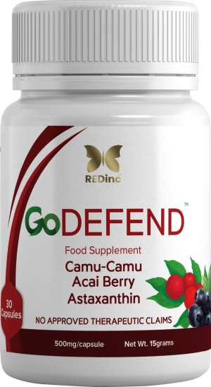 GoDefend test